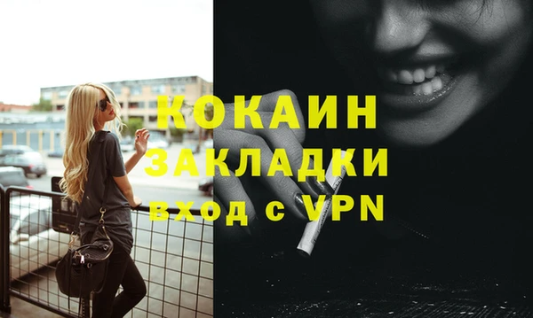 дживик Богородицк