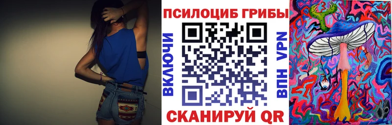 Купить закладки  Вязники  Псилоцибиновые грибы MAGIC MUSHROOMS 